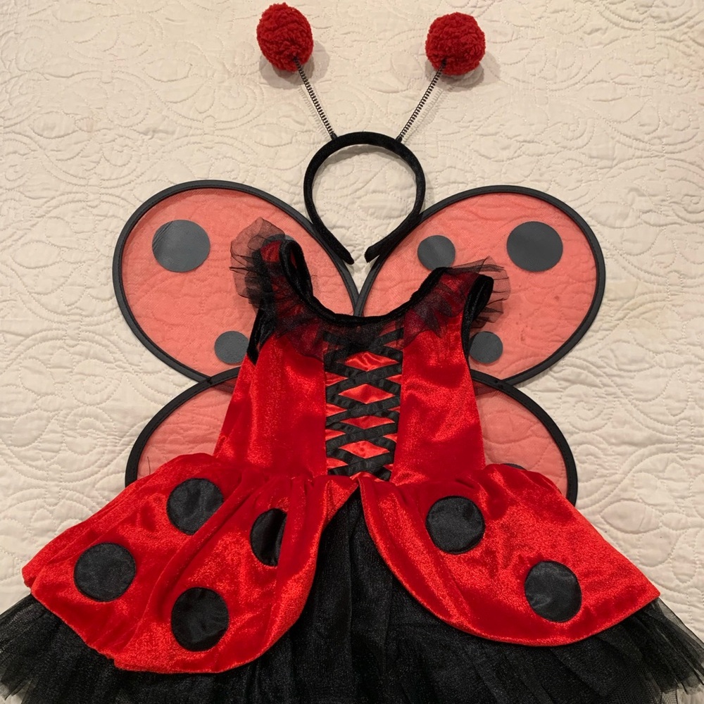 Toddler Ladybug Halloween Costume